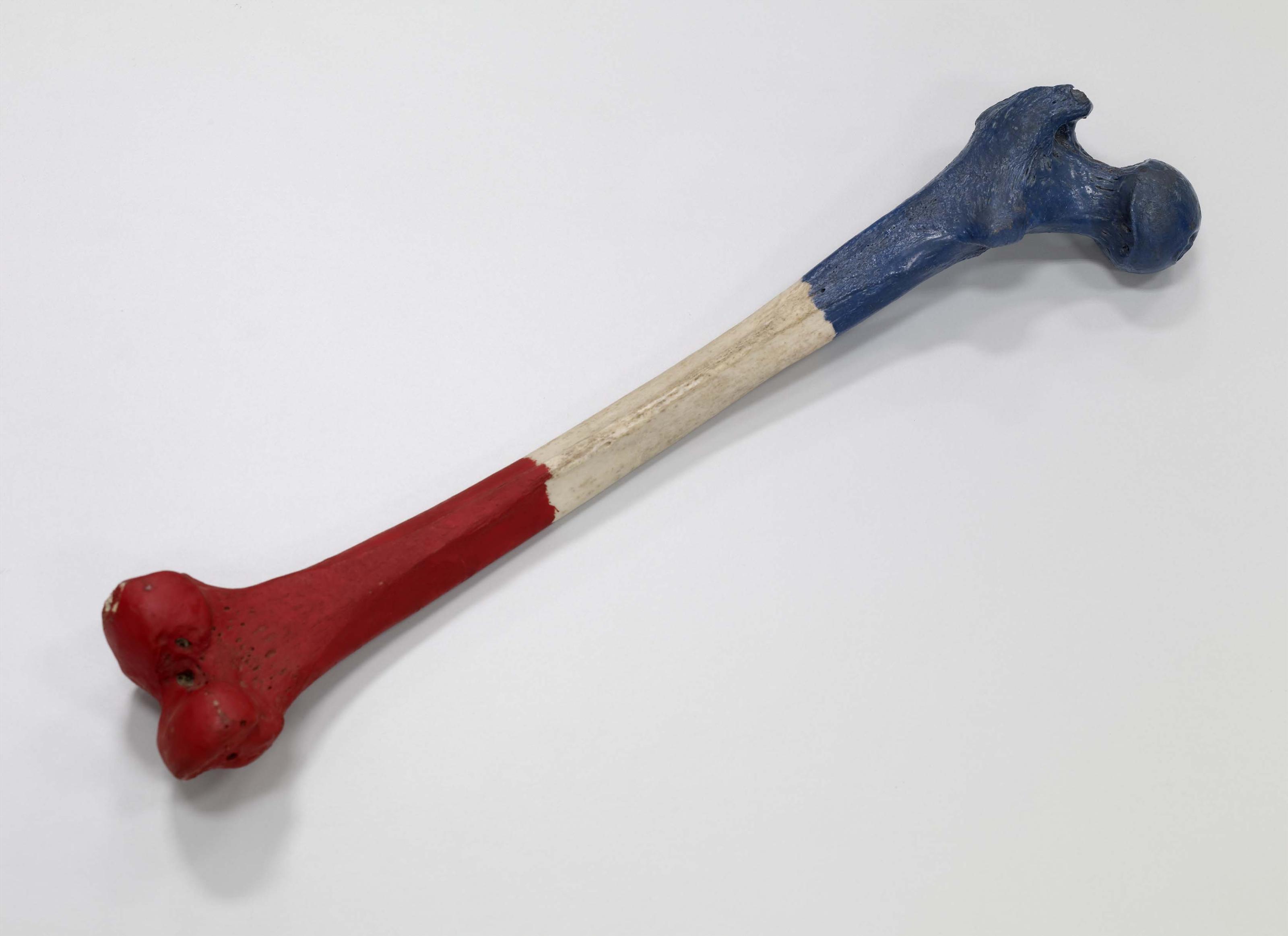 Image de Camisole de France