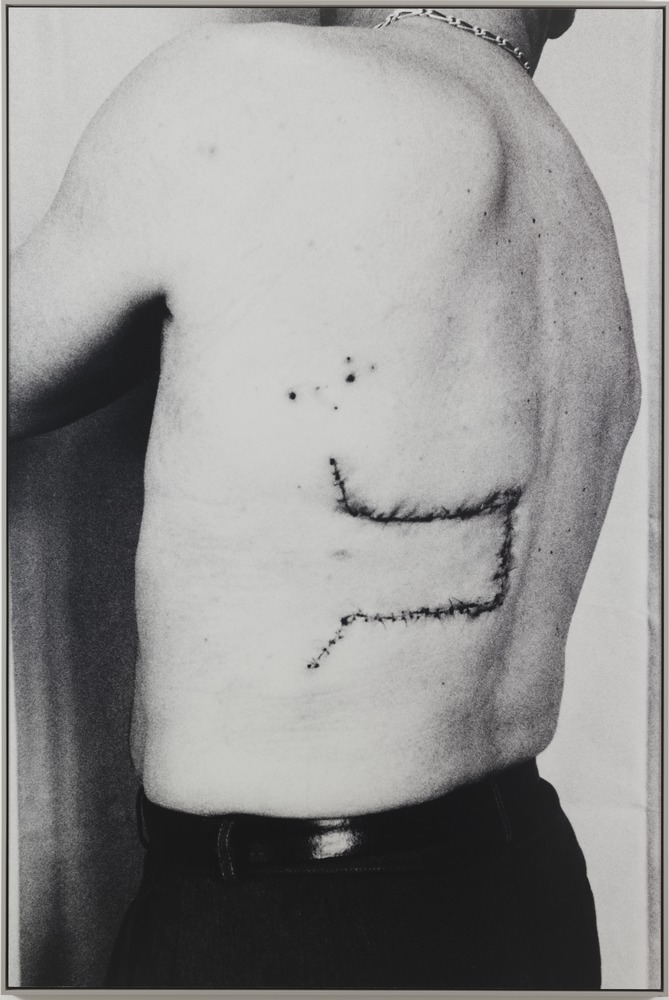 Image de la brochure n°3